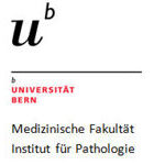 Institute of Pathology University of Bern