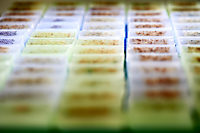 Tissue Bank